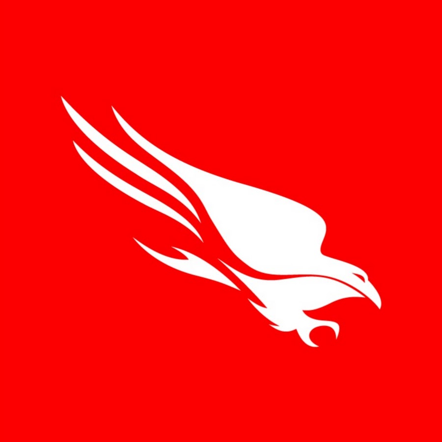 CrowdStrike Outage Case Study thumbnail